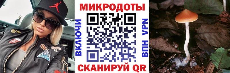 Галлюциногенные грибы ЛСД  Шацк 